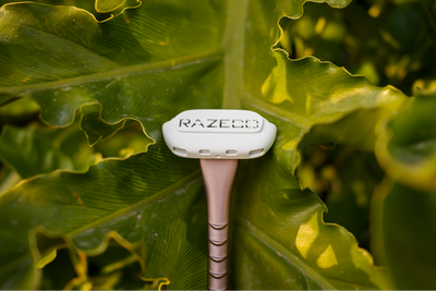 Eco Autumn Skincare Rituals: Transition with Nature & Science